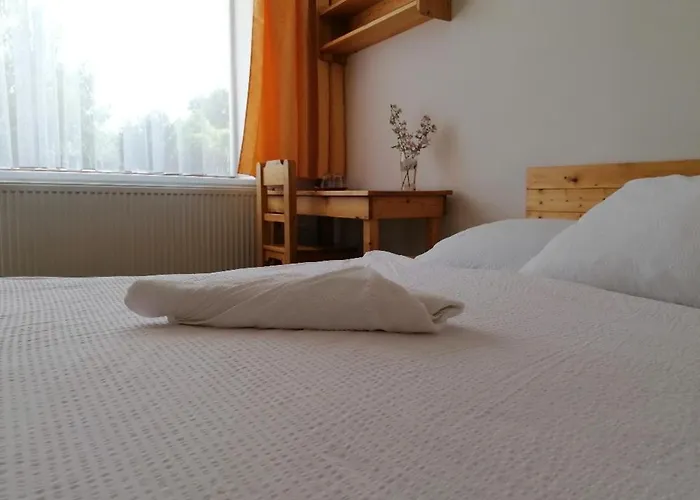 Otevrena Naruc Pension